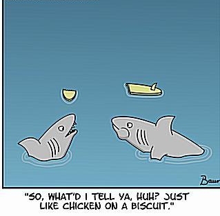 SharkCartoon_a.jpg